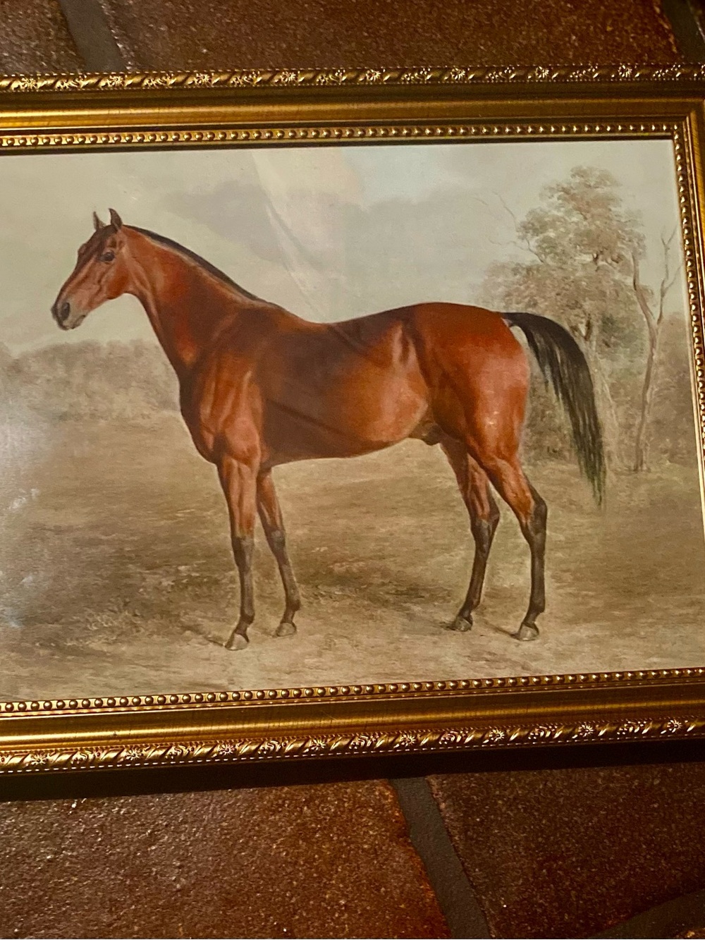 Kentucky Woodpecker Horse Equestrian Reproduction Framed Print 8x10 - Picture 2 of 5